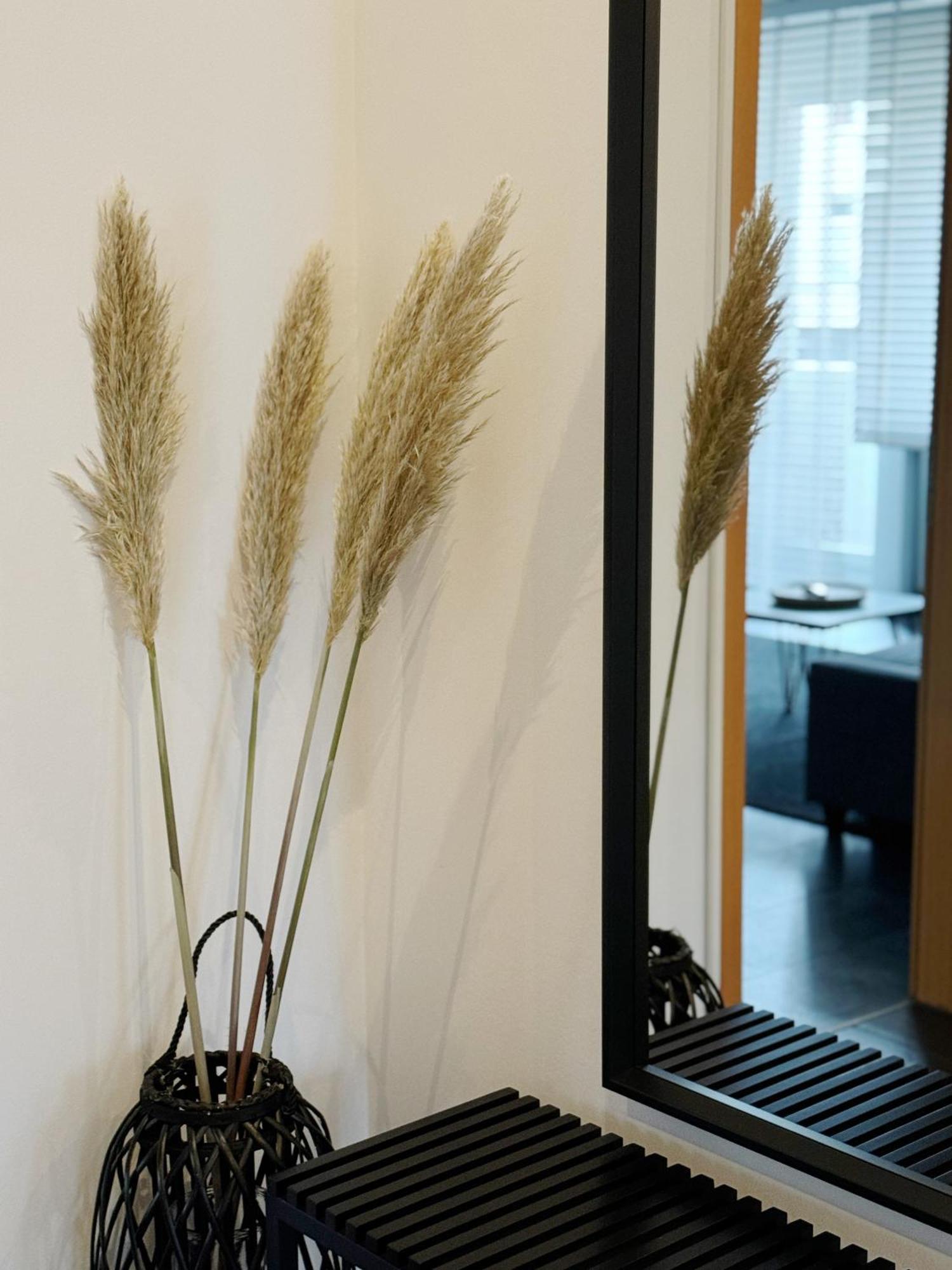 90M2 I Central I Netflix I Wifi I Free Parking I Lia Apartments Hannover Exteriér fotografie
